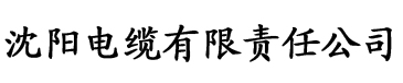 亚洲国产精品无码久久电缆厂logo